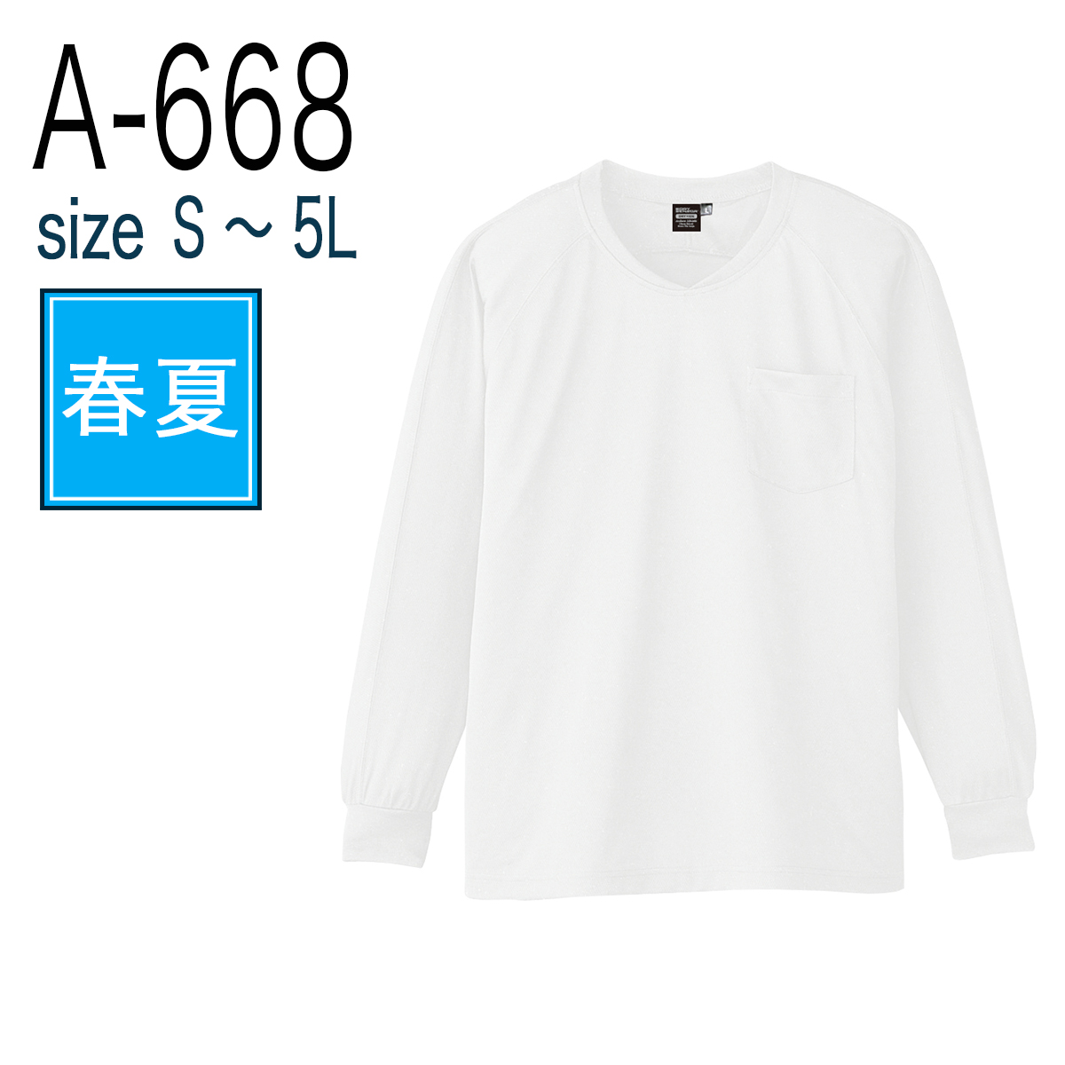 cca668_1.jpg