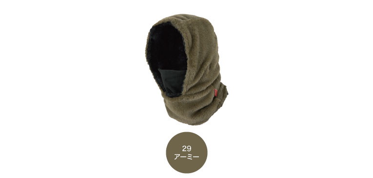 Dickies D-22002 顼Хꥨ1