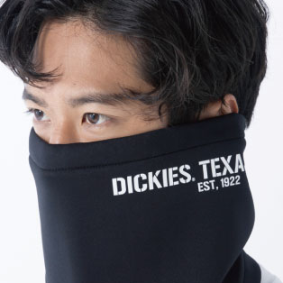Dickies D-724 ポイントその2