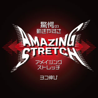 ディッキーズ　D-736 ポイントその2