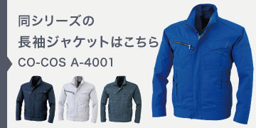 co-cos A-4001