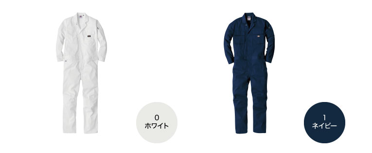 Dickies D-766 顼Хꥨ1