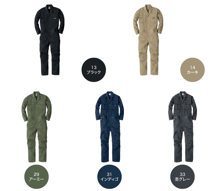 Dickies D-766 顼Хꥨ2
