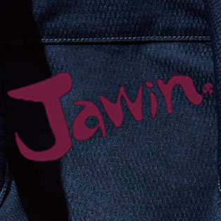 Jawin 52300 ポイントその1