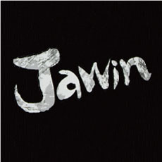 Jawin 56184 ポイントその1