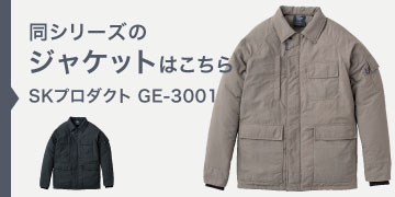 SKץ GE-3001
