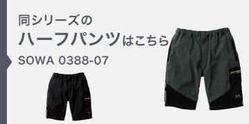  0388-07