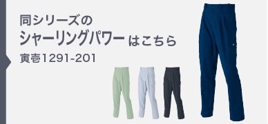 1291-201