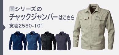 2530-101