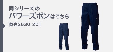 2530-201