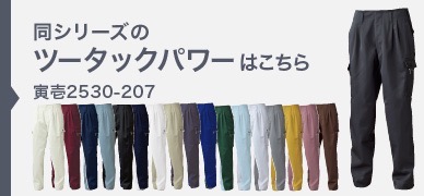 2530-207