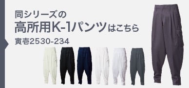 2530-234