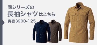 3900-125