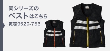 9520-753