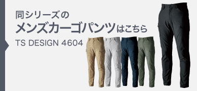 ts4604