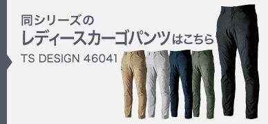  ts46041