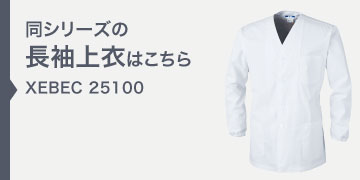 xebec25100