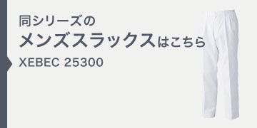 xebec25300