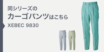 xebec9830