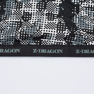Z-DRAGON 74200 ポイントその9-1