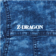 Z-DRAGON 76100 ポイントその5