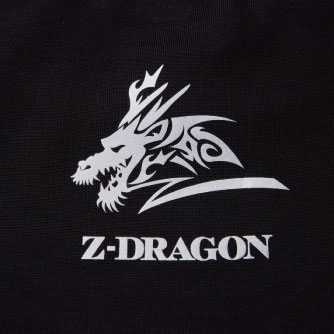 Z-DRAGON 78134 ポイントその2