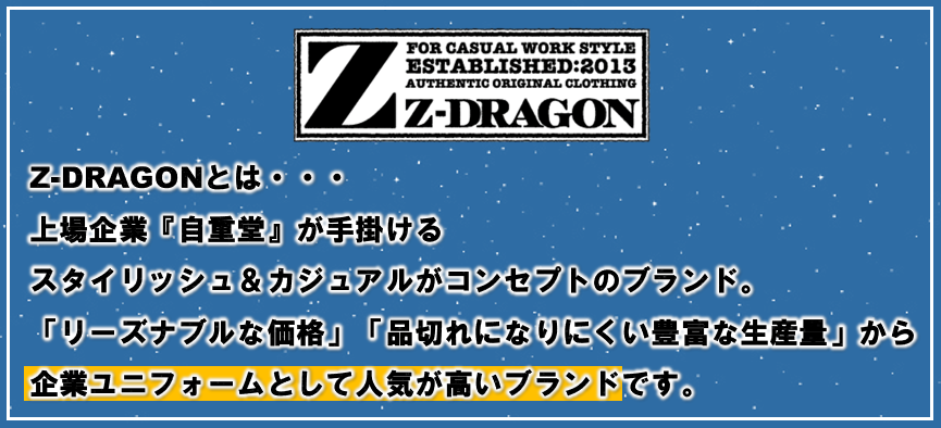 Z-DRAGON 説明